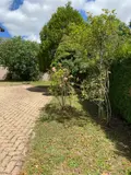 Maison a vendre Paray-le-Monial 71600 Saône-et-Loire 71 149 m2 6 pièces 199000 euros M-P-CA 005