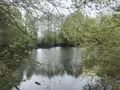 Terrains de loisirs bois etangs a vendre Saint-Martin-du-Bois 49500 Maine-et-Loire 49 48600 euros 49098-1425 003