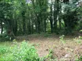 Terrain a batir a vendre Aubinges 18220 Cher 18 31500 euros 18006-199 001