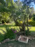 Maison a vendre Plogastel-Saint-Germain 29710 Finistère 29 157 m2 8 pièces 399375 euros 29015-654 022