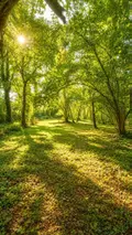 Maison a vendre Brech 56400 Morbihan 56 185 m2 6 pièces 726640 euros 56080-983 005