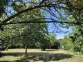 Terrain a batir a vendre Châtelain 53200 Mayenne 53 32100 euros 53039-376 003