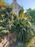 Maison a vendre Plogoff 29770 Finistère 29 57 m2 4 pièces 218850 euros 29021-2122 018