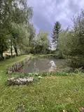 Terrains de loisirs bois etangs a vendre Le Grand-Lucé 72150 Sarthe 72 37000 euros 72085-2238 003