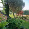 Maison a vendre Pleugueneuc 35720 Ille-et-Vilaine 35 162 m2 11 pièces 429000 euros 35130-3872 029