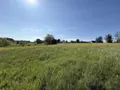Terrain a batir a vendre Faissault 08270 Ardennes 08 32000 euros 51066-1981 010