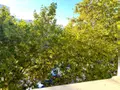 Appartement a vendre Orléans 45000 Loiret 45 59 m2 3 pièces 90100 euros 45004-463 006