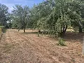 Terrain a batir a vendre Ougney 39350 Jura 39 44000 euros 25012-954 003