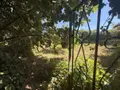 Terrain a batir a vendre Île-aux-Moines 56780 Morbihan 56 320000 euros 56089-137 001