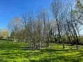 Terrain a batir a vendre Péronnas 01960 Ain 01 175000 euros 01083-1960 006