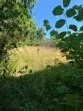 Maison a vendre La Verrière 78320 Yvelines 78 80 m2 250000 euros 92076-150 002