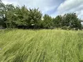 Viager maison Val d'Arcomie 15320 Cantal 15 146 m2 50000 euros 15046-81 022