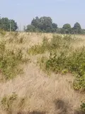 Terrains de loisirs bois etangs a vendre Marsan 32270 Gers 32 15000 euros 32002-1429 005