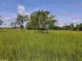Terrain a batir a vendre Baâlons 08430 Ardennes 08 23675 euros 2026 33 005