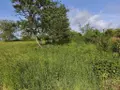 Terrain a batir a vendre Baâlons 08430 Ardennes 08 23675 euros 2026 33 007