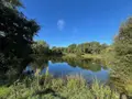Terrains de loisirs bois etangs a vendre Saint-Christophe-du-Luat 53150 Mayenne 53 84320 euros 53078-1877 004