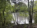 Terrains de loisirs bois etangs a vendre Saint-Martin-du-Bois 49500 Maine-et-Loire 49 48600 euros 49098-1425 001