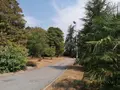 Maison a vendre Marcé-sur-Esves 37160 Indre-et-Loire 37 363 m2 11 pièces 525000 euros 37082-316 012
