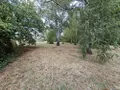 Terrain a batir a vendre Artannes-sur-Indre 37260 Indre-et-Loire 37 142400 euros 37125-58 002