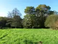 Maison a vendre Lignol 56160 Morbihan 56 81 m2 4 pièces 168450 euros 56075-2297 026