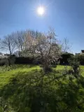 Maison a vendre Pleuven 29170 Finistère 29 92 m2 4 pièces 276925 euros 29014-3110 010