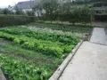 Terrain a batir a vendre Cherbourg-en-Cotentin 50120 Manche 50 47646 euros 50112-820 003