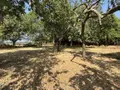 Maison a vendre Assé-le-Riboul 72170 Sarthe 72 90 m2 4 pièces 193460 euros 72126-3227 006