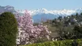 Maison a vendre Barberaz 73000 Savoie 73 135 m2 7 pièces 625000 euros 73006-301 002