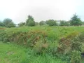 Terrains de loisirs bois etangs a vendre Cléguérec 56480 Morbihan 56 9700 euros 56062-1994 004