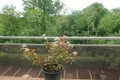 Appartement a vendre Bourges 18000 Cher 18 85 m2 3 pièces 118000 euros 18005-1621 002