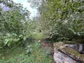 Maison a vendre Crevant-Laveine 63350 Puy-de-Dôme 63 316 m2 9 pièces 375000 euros 63022-87 031