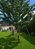 Maison a vendre Noyelles-Godault 62950 Pas-de-Calais 62 184 m2 9 pièces 410000 euros 62034-4077 007