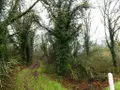 Terrains de loisirs bois etangs a vendre Saint-Tugdual 56540 Morbihan 56 10600 euros 56075-2343 001