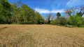 Terrain a batir a vendre Vicq-sur-Nahon 36600 Indre 36 17000 euros 021/1193 005