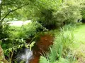 Maison a vendre Lignol 56160 Morbihan 56 81 m2 4 pièces 168450 euros 56075-2297 014