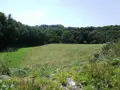 Divers a vendre Le Saint 56110 Morbihan 56 1 m2 335600 euros 56075-2414 007