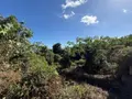 Terrain a batir a vendre Saint-Pierre 97250 Martinique 972 189900 euros 97410-739 001