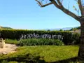 Maison a vendre Montoison 26800 Drôme 26 113 m2 5 pièces 280000 euros 26072-773 003