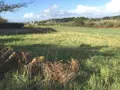 Divers a vendre Esquibien 29770 Finistère 29 1386 m2 54577 euros 29021-2065 001