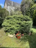 Maison a vendre Le Mans 72000 Sarthe 72 152 m2 5 pièces 210000 euros 72009-1361 009