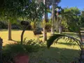 Maison a vendre Saint-Pierre 97250 Martinique 972 184 m2 6 pièces 520000 euros 97410-716 003