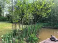 Maison a vendre La Haye 50250 Manche 50 151 m2 6 pièces 367745 euros 50061-2952 018