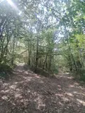 Terrains de loisirs bois etangs a vendre Marsan 32270 Gers 32 15000 euros 32002-1429 001