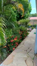 Maison a vendre Le Vauclin 97280 Martinique 972 124 m2 294000 euros 97204-406 013