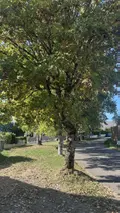 Maison a vendre Saint-Nolff 56250 Morbihan 56 105 m2 7 pièces 296290 euros 56003-1512 016