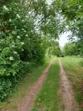 Terrain a batir a vendre Agnez-lès-Duisans 62161 Pas-de-Calais 62 125000 euros 62113-1199 002