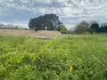 Terrain a batir a vendre Plozévet 29710 Finistère 29 60495 euros 29021-2063 003