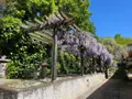 Maison a vendre Dagneux 01120 Ain 01 100 m2 5 pièces 490000 euros 01070-813 012