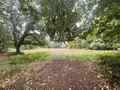 Terrains de loisirs bois etangs a vendre Le Faouët 56320 Morbihan 56 20600 euros 56081-2679 004