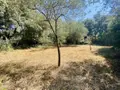 Terrain a batir a vendre Castries 34160 Hérault 34 359850 euros 34012-713 002